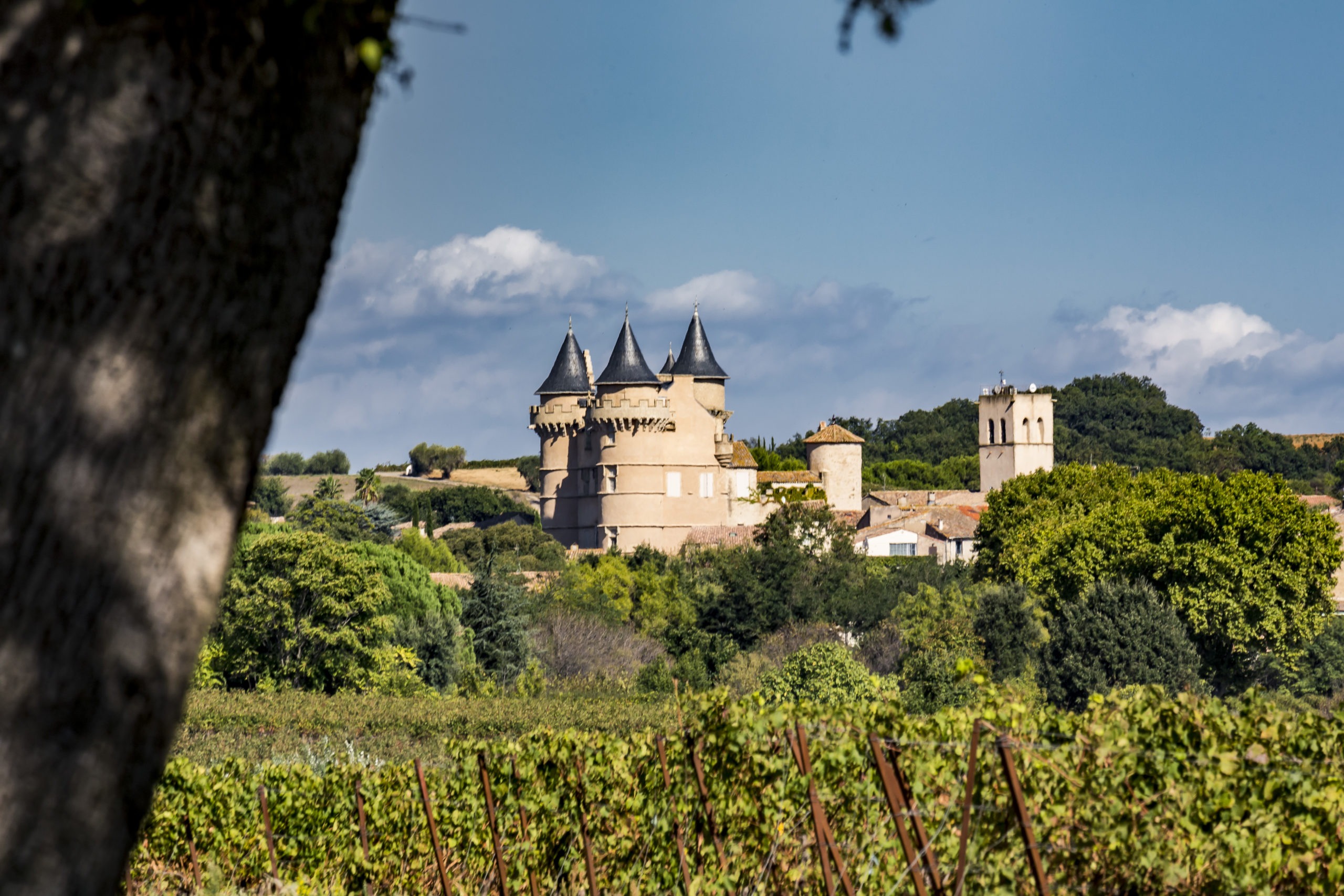 Margon Caves Molière